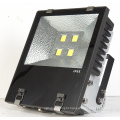 LED Flood Lamp, LED Spot Lighting (SLFY110)